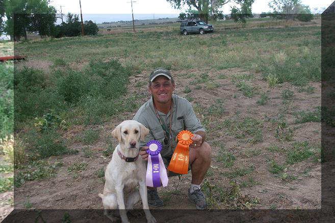 Chelsea's JH AKC Title