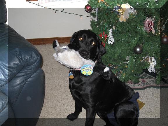 satin at christmas