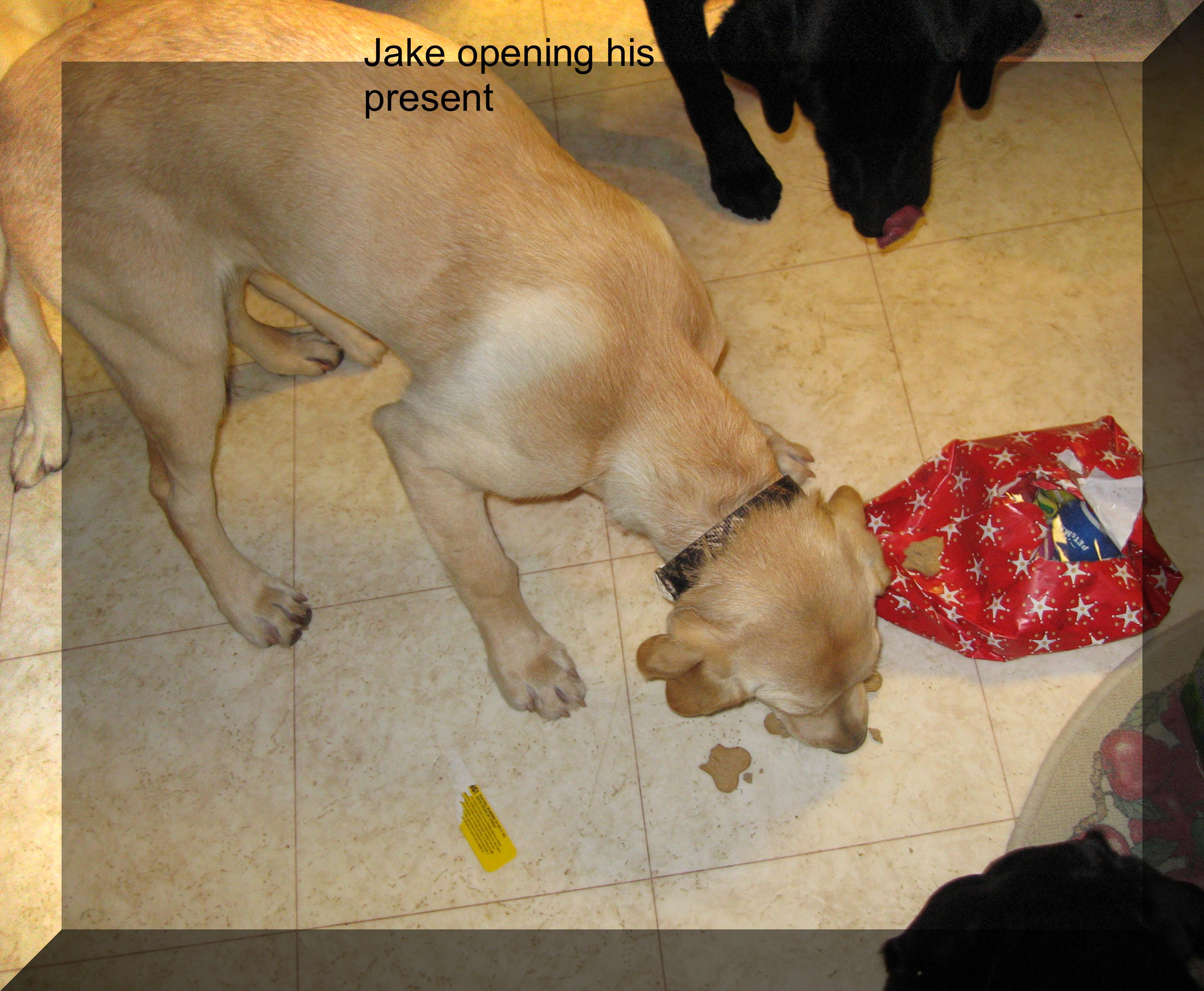 jake at christmas